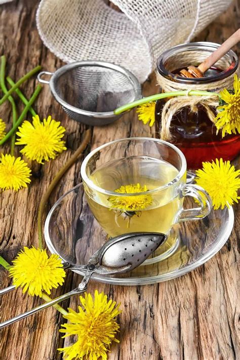 Dandelion Tea Recipe - Homespun Seasonal Living