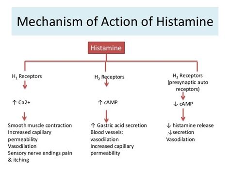 histamine and antagonists by 40ruta’s