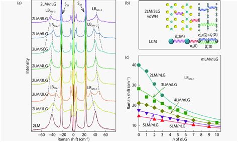 Lattice vibration and Raman scattering of two-dimensional van der Waals heterostructure