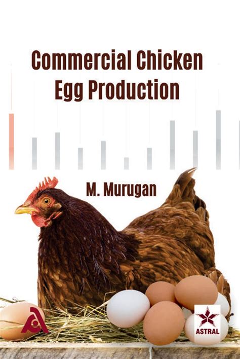 Commercial Chicken Egg Production | VetBooks