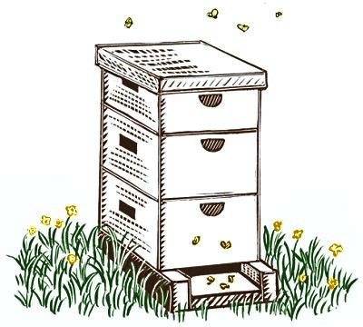 bee box clipart - Clip Art Library