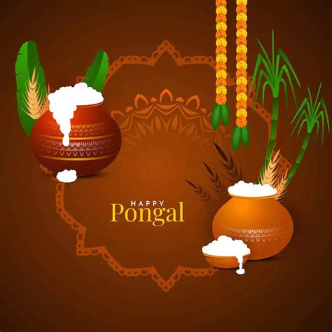 Pongal Wishes in Tamil : உங்கள் அன்புக்குரியவர்களுக்கு பொங்கல் வாழ்த்து ...