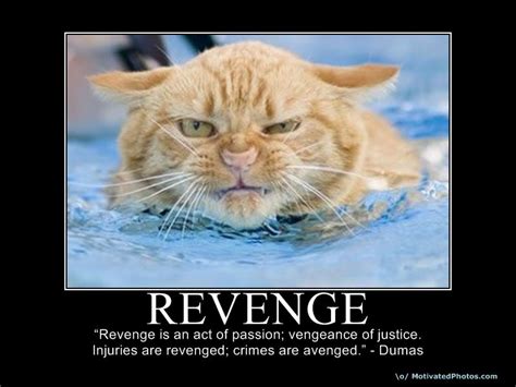 Funny Revenge Quotes Sayings. QuotesGram