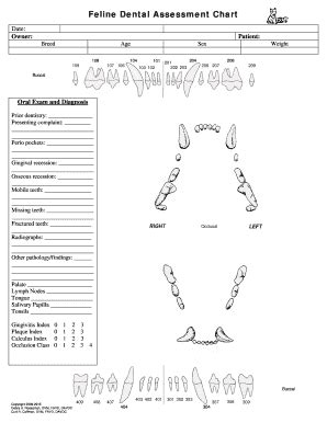 Feline Dental Chart - Fill Online, Printable, Fillable, Blank | pdfFiller