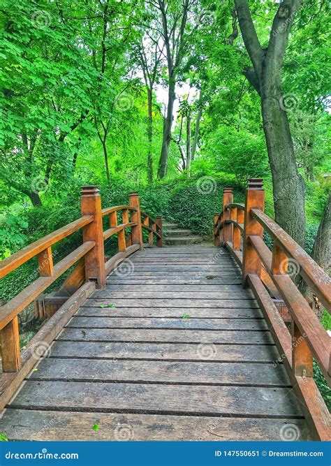 The Beautiful Bridge in Nature . Stock Image - Image of colorfulnature, plant: 147550651