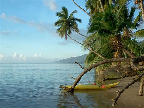 Nuku Hiva by Attila Vörös / 500px | Toronto island, Island vacation, Island