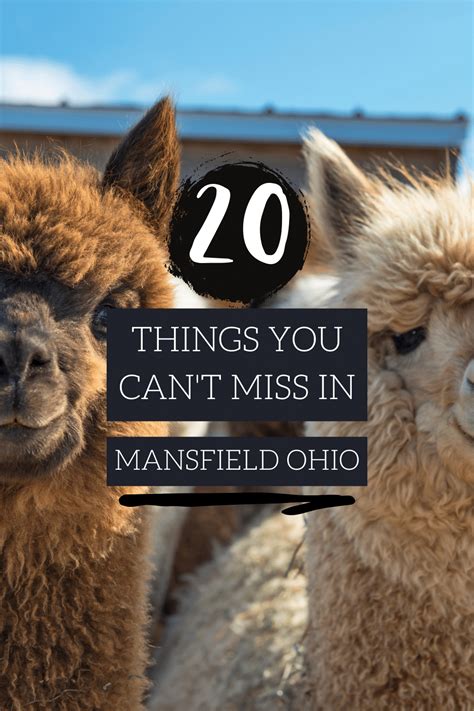 Things to do in Mansfield Ohio 2023 - Visit Ohio Today