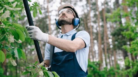 7 Essential Tree Trimming Safety Tips