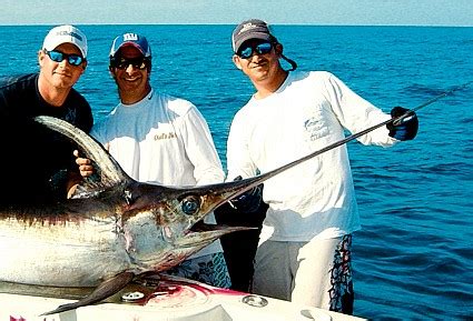 Daytime Swordfish Fishing