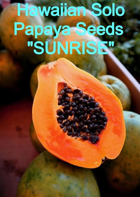 Hawaiian Solo SUNRISE Papaya Seeds Non-gmo Super Sweet - Etsy