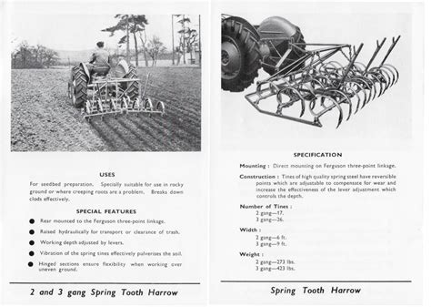 Spring Tooth Harrow | Ferguson Club