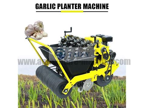 Automatic Garlic Planting Machine With Affordable Price