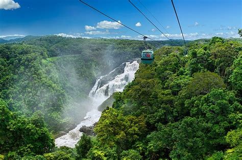 Skyrail Rainforest Cableway, Cairns | Ticket Price | Timings | Address: TripHobo