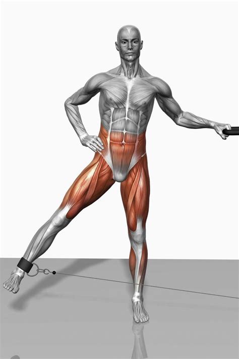 Abduction Allows Muscles to Do Side-to-Side Movement | Fitness body ...