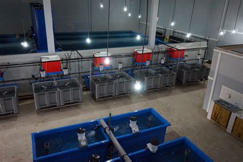 Turn key fish hatchery solutions for many fish species - Aquaculture ID