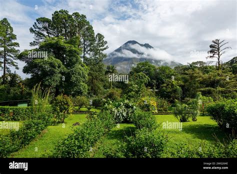 Arenal Volcano and gardens at the Arenal Volcano Observatory Lodge, Arenal Volcano National Park ...