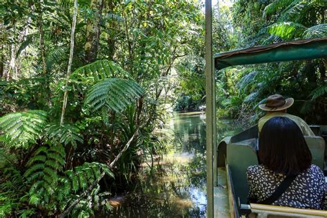 How Big Is The Rainforest In Cairns? - Cairns-Tours