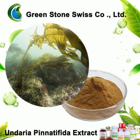 Undaria Pinnatifida Extract Price,Supply,Manufacturer From Green Stone