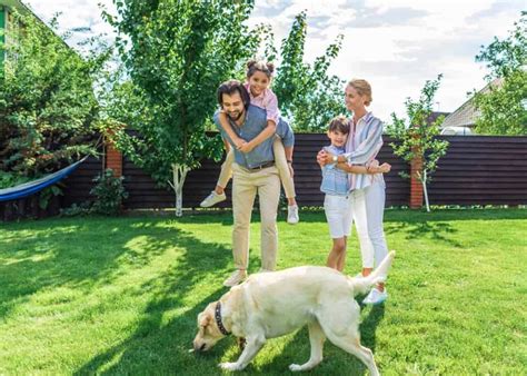 13 Best Tick Repellent for Yard: Spray & Natural Prevention » The Buginator