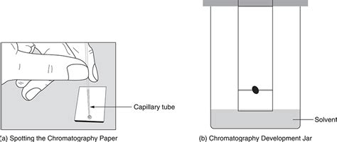 20 Experimental Investigations - Additional Review and Applications