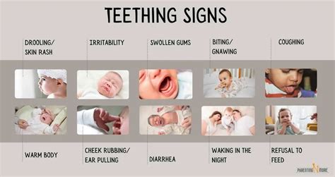 How long does teething last in babies? Insights on teething symptoms, soothe teething baby ...