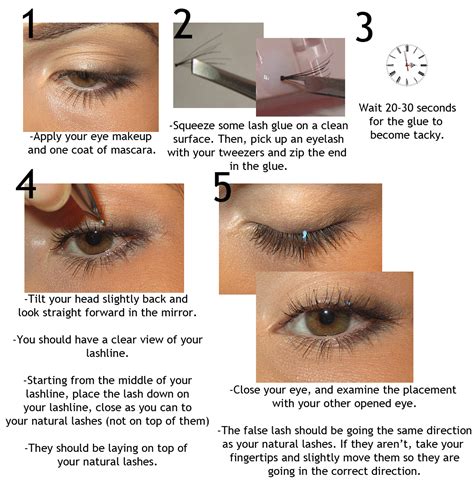 How to apply individual lashes : r/BeautyDiagrams