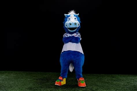 Blue Indianapolis Colts Mascot