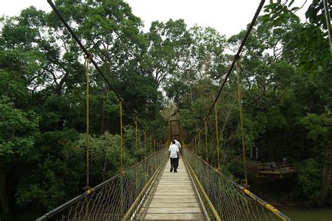 Nisargadhama, Coorg - Entry Fee, Visit Timings, Things To Do & More...