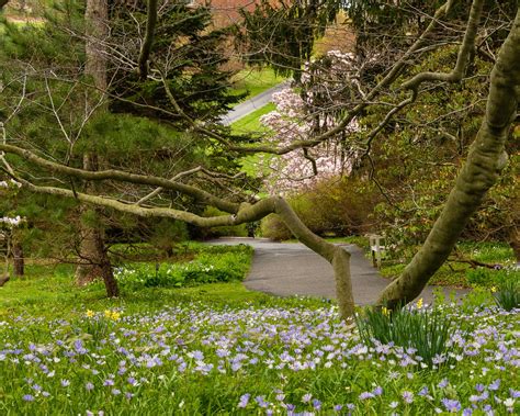 Winterthur Museum, Garden & Library | Naturalistic garden, Garden pictures, Dream garden