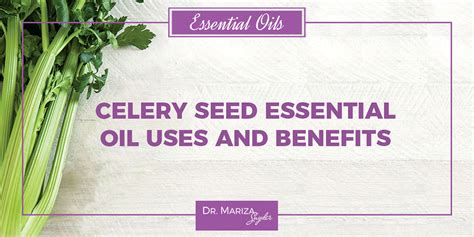 Celery Seed Essential Oil Uses and Benefits Dr. Mariza Snyder