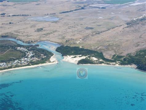 Tomahawk Beach - Beach in Tomahawk Dorset TAS - SLS Beachsafe