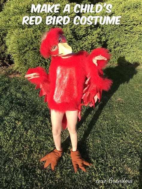 xoxo Grandma: Make a Child's Red Bird Costume