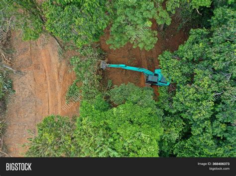 Deforestation. Logging Image & Photo (Free Trial) | Bigstock