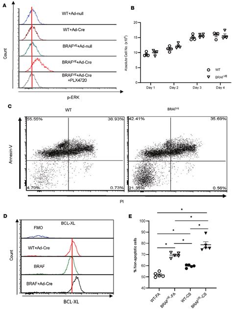 BRAF-V600E mutation is associated with increased cell viability and... | Download Scientific Diagram