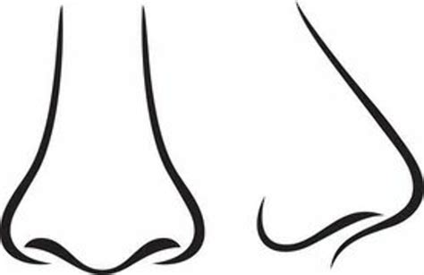 Download High Quality nose clipart black and white Transparent PNG ...