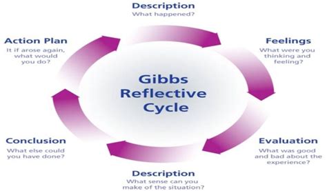 The 6 Stages Of Gibbs Reflective Cycle- A Complete Guide - DigitalGpoint