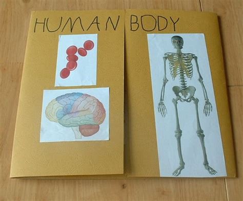 Human Body lapbook cover | Sonlight Core 1; Science topic; 1… | Flickr