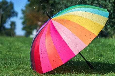 Premium Photo | Bright colored rainbow umbrella on a grass during ...