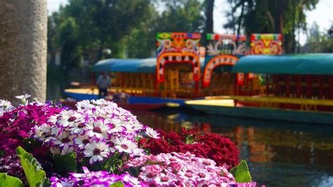 Xochimilco, Mexico City, Mexico | Xochimilco, Flores, Lugares