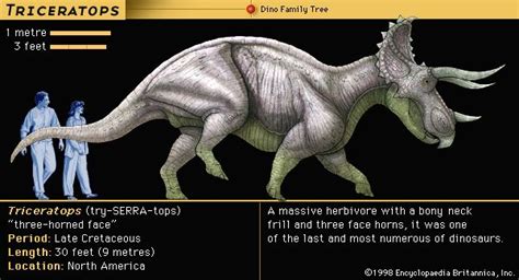 Ceratopsian | dinosaur group | Britannica.com