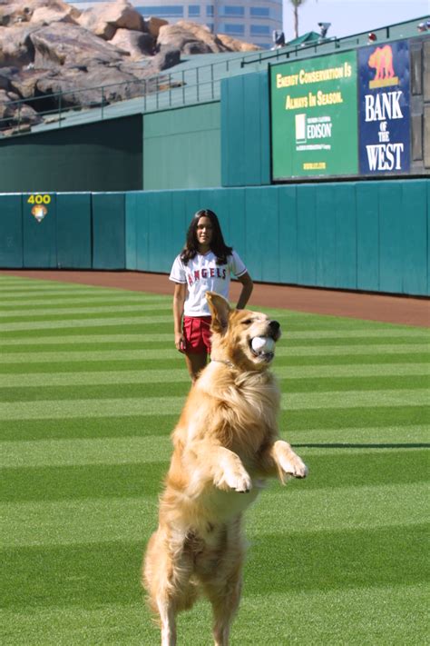 Air Bud: Seventh Inning Fetch (2002)