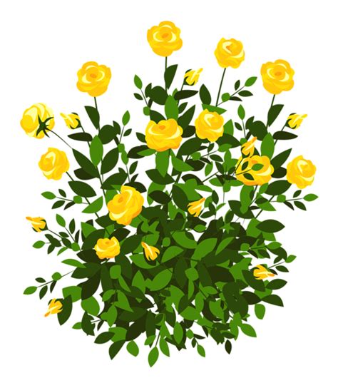 Flower Bush Transparent PNG - PNG Mart