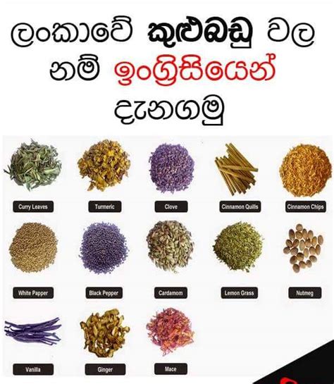 Sri Lankan spices names ~ Sandy Foods | Sri Lanka