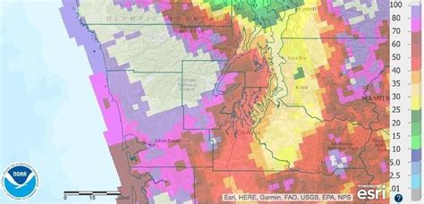 Seattle breaks record for rainfall in city over 7-month span - mlive.com