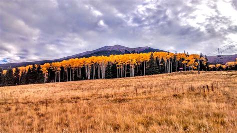 Hiking Humphreys Peak Photograph by Terran Marks - Fine Art America