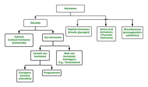 What are Hormones? - Definition, Types, Properties, Functions and FAQs