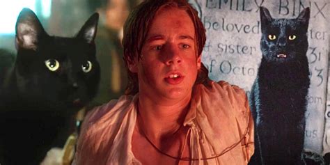 Is Gilbert’s Cat Cobweb In Hocus Pocus 2 Actually Thackery Binx? in ...