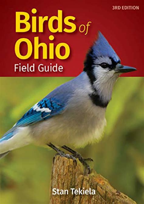 Birds-of-Ohio-Field-Guide-Bird-Identification-Guides