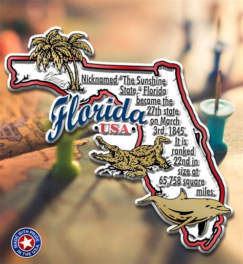 Florida Information State Magnet by Classic Magnets, 3.4" x 3.3", Collectible Souvenirs Made in ...