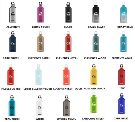 Sigg 20 Oz Classic Travel Bottle